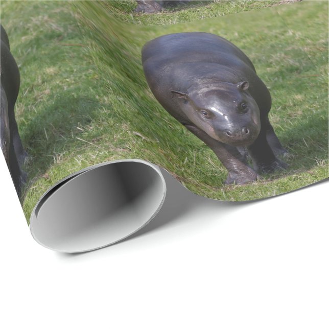 Baby Hippo Wrapping Paper (Roll Corner)