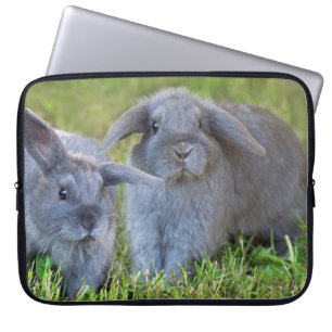 Baby Holland Lop Bunnies - Cute Rabbits Laptop Sleeve