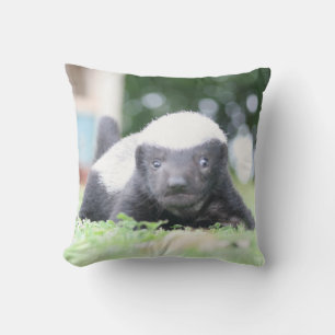 Baby honey badger cushion
