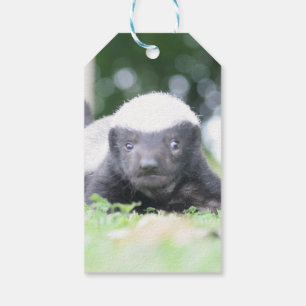 Baby honey badger gift tags