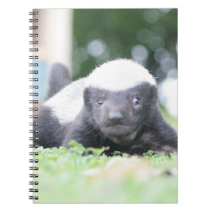 Baby honey badger notebook