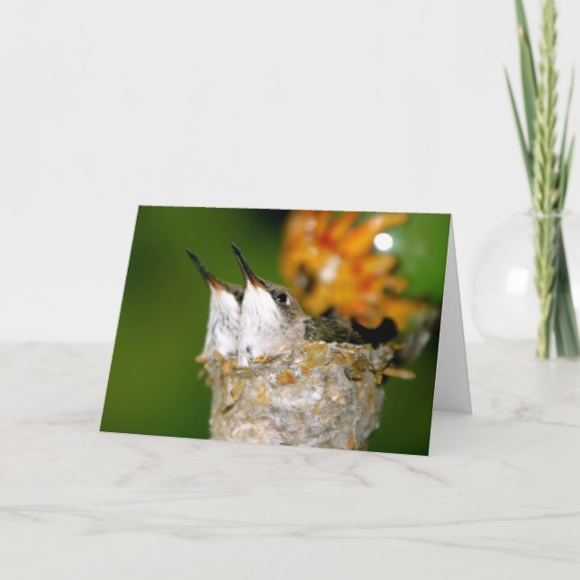 Baby hummingbirds card (Front)