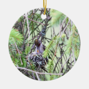 Baby Hummingbirds in a Nest Ceramic Tree Decoration