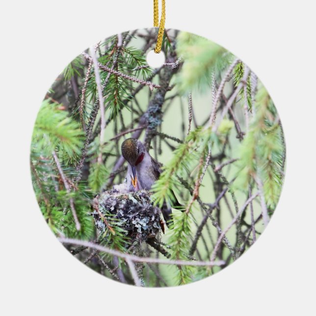 Baby Hummingbirds in a Nest Ceramic Tree Decoration (Front)