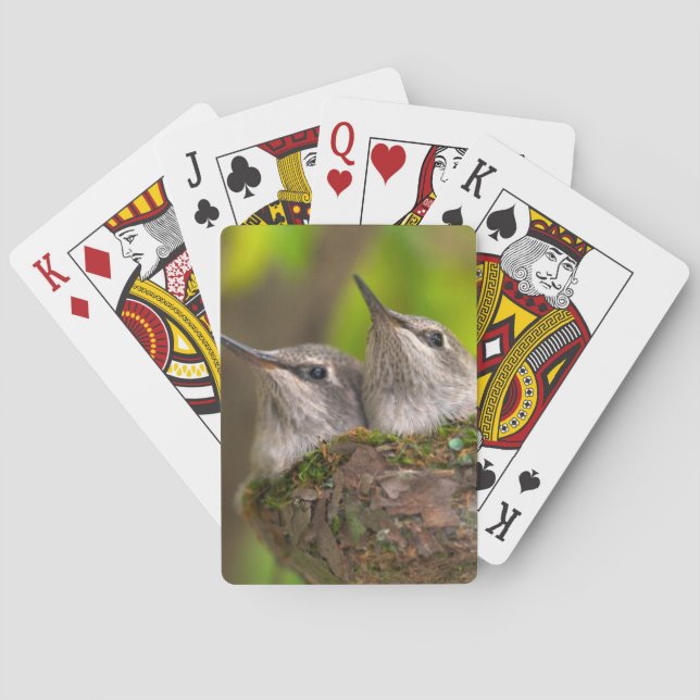 Baby hummingbirds playing cards (Back)
