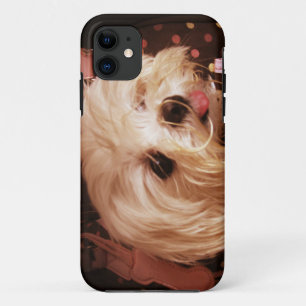 Baby in a Bag Maltese Puppy iPhone 11 Case