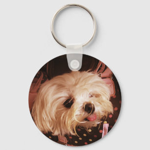 Baby in a Bag Maltese Puppy Key Ring