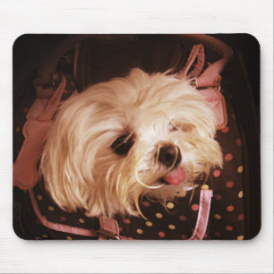Baby in a Bag Maltese Puppy Mouse Mat