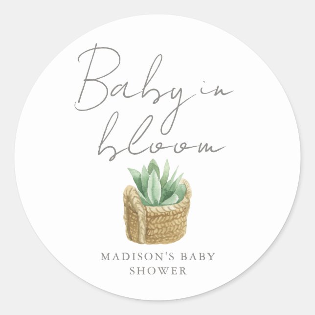 Baby in Bloom Simple Succulent Baby Shower Classic Round Sticker (Front)