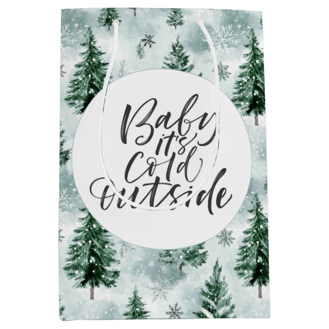 Baby it's Cold Outside Baby Shower Gift Bag (Front)