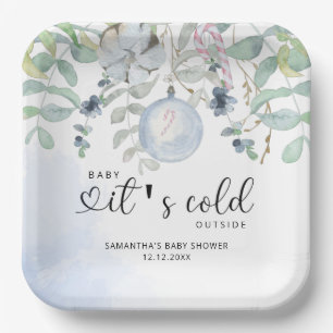 Baby it's cold outside baby shower invitation paper plate