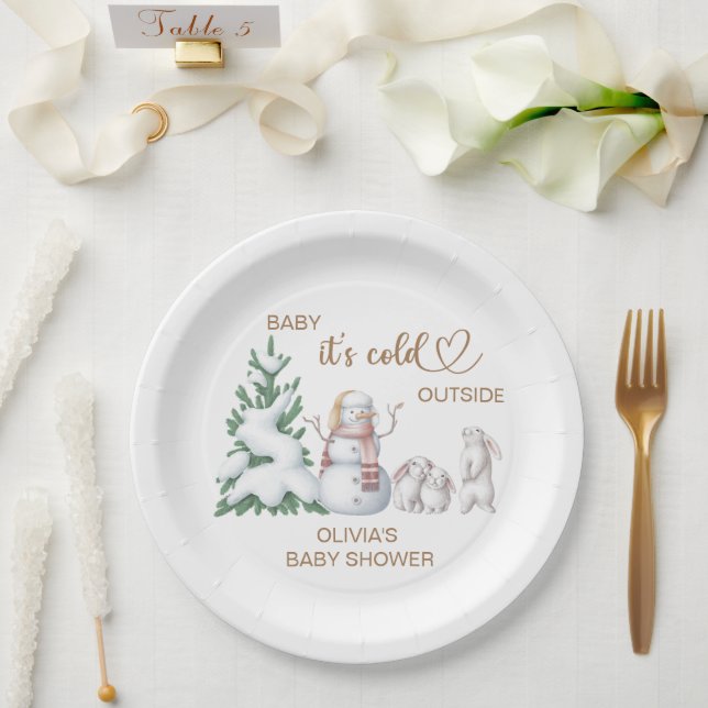 Baby its cold outside. Baby Shower.  Paper Plate (Wedding)