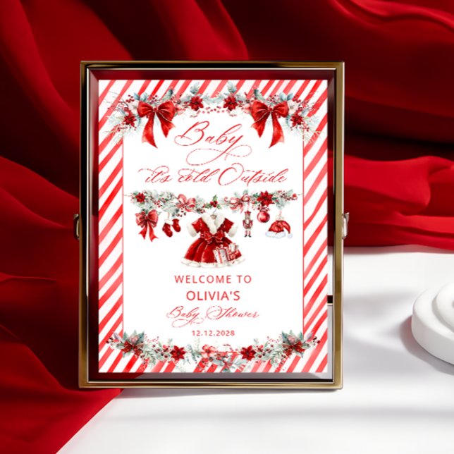 Baby Its Cold Outside Girl Baby Shower Welcome Poster (Creator Uploaded)