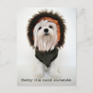 Baby it's Cold Outside Postcard