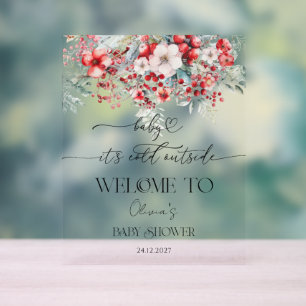 Baby it's Cold Outside Winter Baby Shower Welcome Acrylic Sign