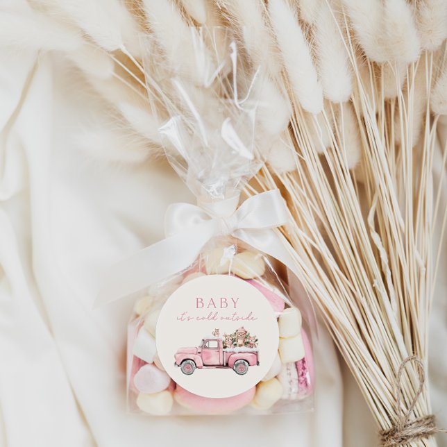 Baby It's Cold Outside Winter Woodland Baby Shower Classic Round Sticker (Creator Uploaded)