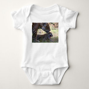 Baby Jaguar Creeper