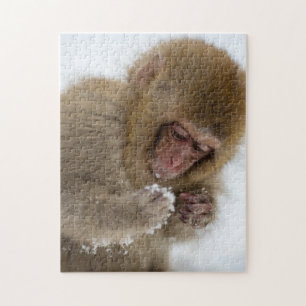Baby Japanese Macaque   Snow Monkey Jigsaw Puzzle