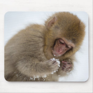 Baby Japanese Macaque Snow Monkey Mouse Mat