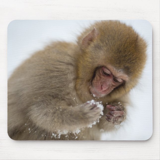 Baby Japanese Macaque | Snow Monkey Mouse Mat (Front)