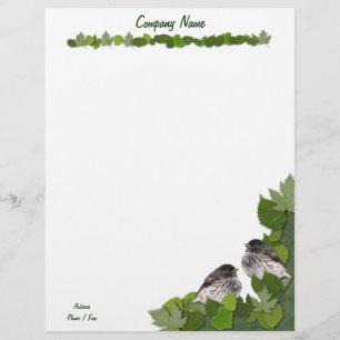 Baby Junco's Letterhead