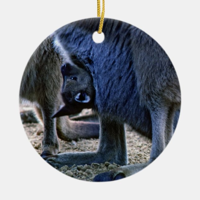 Baby kangaroo in mother's pouch - Australia Ceramic Tree Decoration (Front)