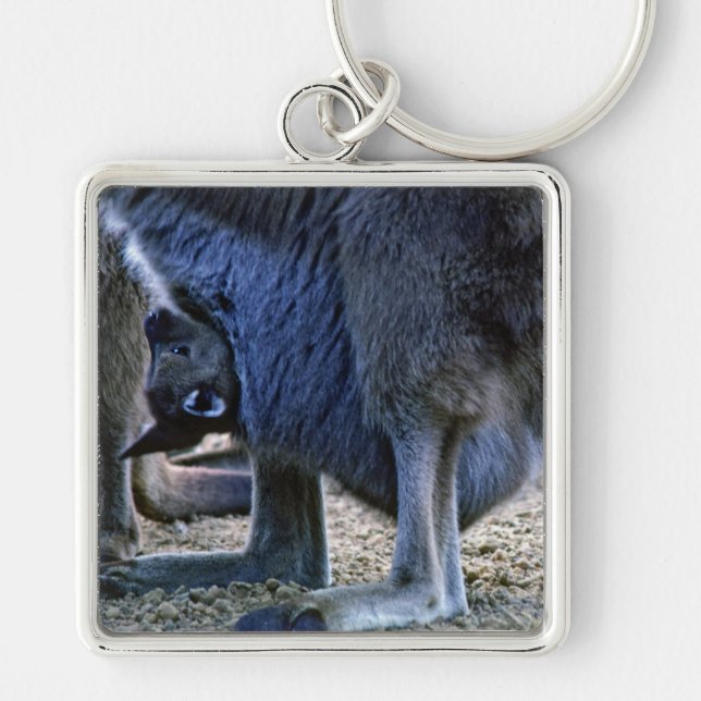Baby kangaroo in mother's pouch - Australia Key Ring (Front)