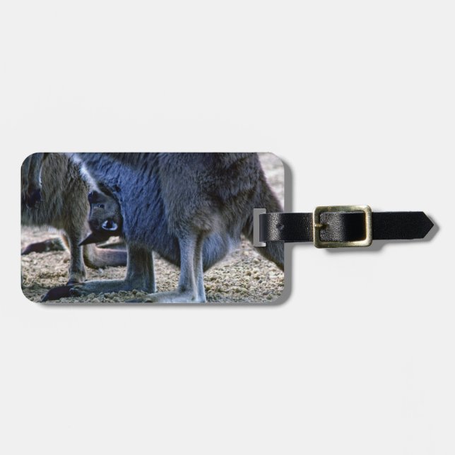 Baby kangaroo in mother's pouch - Australia Luggage Tag (Front Horizontal)