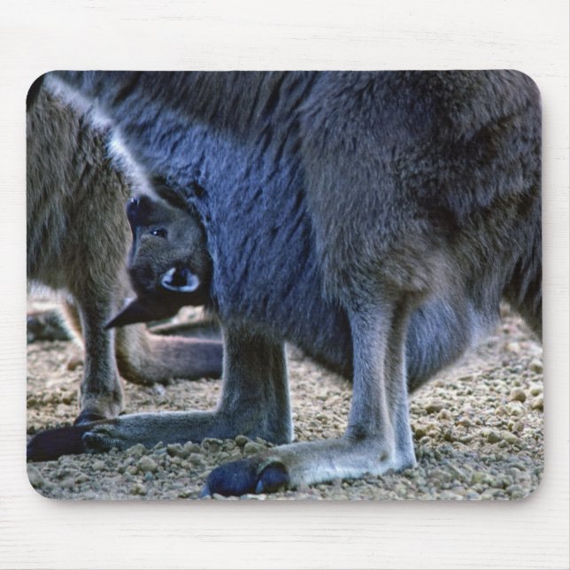 Baby kangaroo in mother's pouch - Australia Mouse Mat (Front)