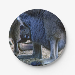 Baby kangaroo in mother's pouch - Australia Paper Plate