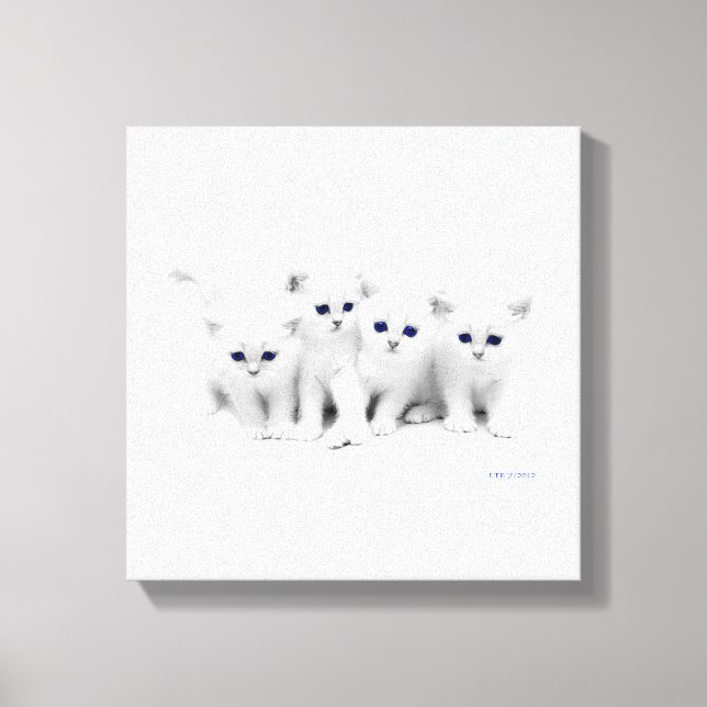Baby Kittens Canvas Print (Front)