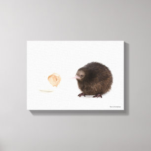 Baby Kiwi Bird Hatched from Egg Canvas Print