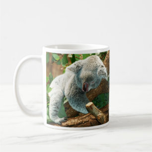 Baby Koala Bear Sleeping in Tree Mug