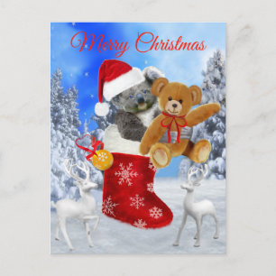 BABY KOALA CHRISTMAS WITH TEDDY HOLIDAY POSTCARD