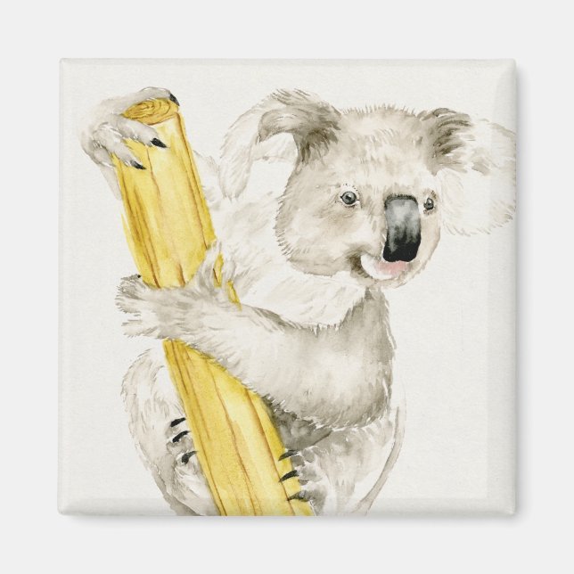 Baby Koala | Cute & Furry Magnet (Front)