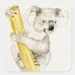 Baby Koala   Cute & Furry Square Sticker