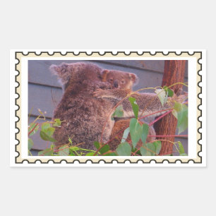 Baby koala Fake stamp Rectangular Sticker