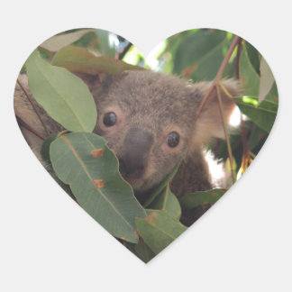 Baby Koala Heart Sticker