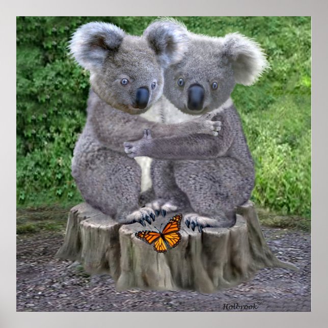 BABY KOALA HUGGIES POSTER (Front)