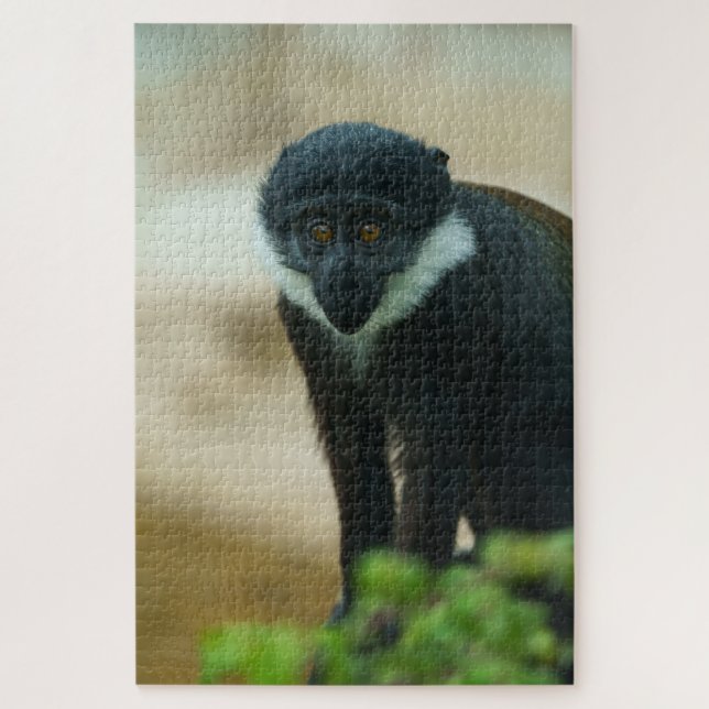 Baby L’Hoest Monkey Jigsaw Puzzle (Vertical)