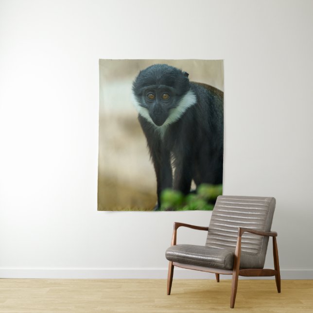 Baby L’Hoest Monkey Tapestry (In Situ)
