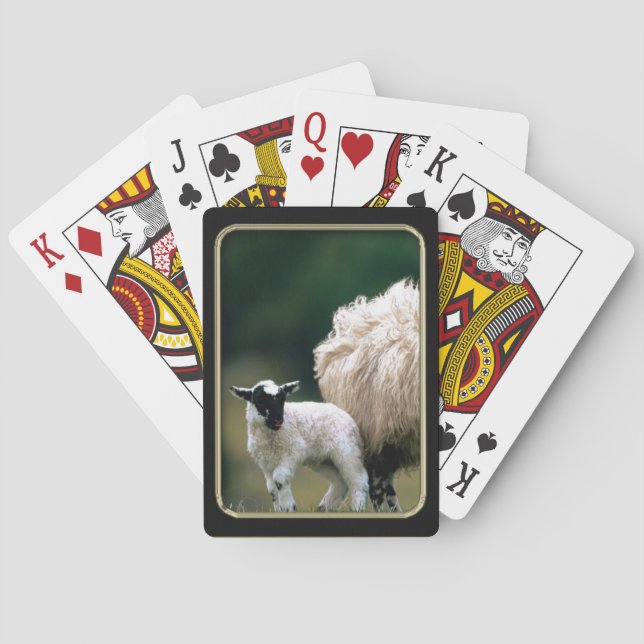Baby Lamb  Photo Art Playing Cards (Back)