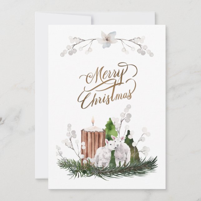 Baby Lamb Pine Candle Christmas  Holiday Card (Front)