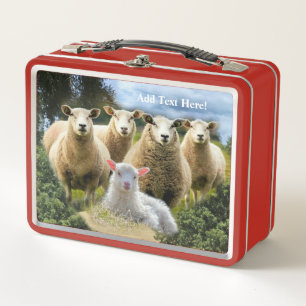 Baby Lamb Sheep Herd Flock Metal Lunch Box