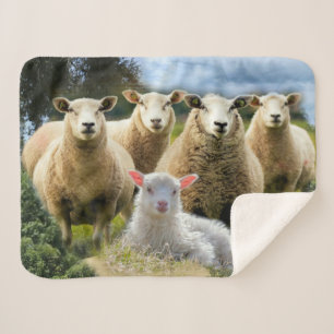 Baby Lamb Sheep Herd Flock Sherpa Blanket