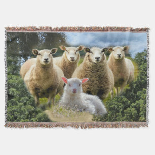 Baby Lamb Sheep Herd Flock Throw Blanket