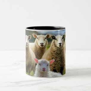 Baby Lamb Sheep Herd Flock Two-Tone Coffee Mug