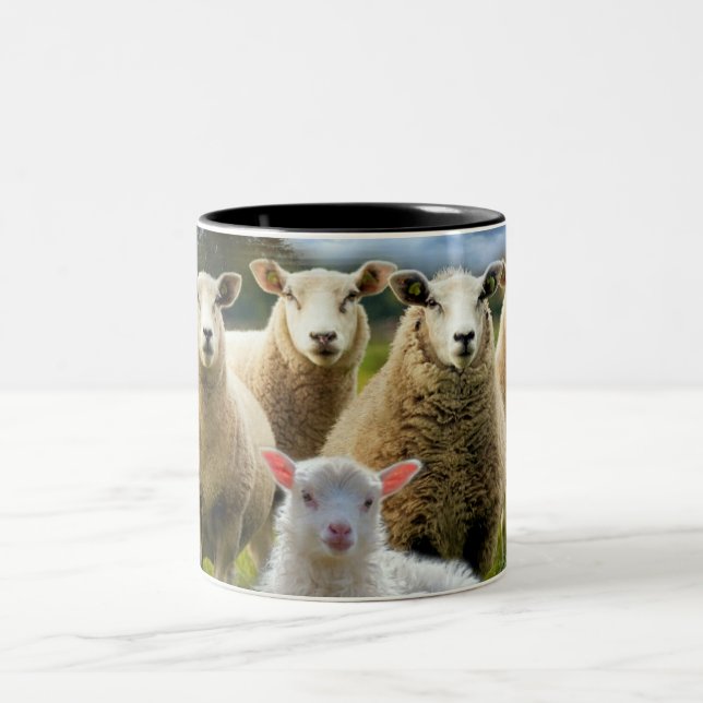 Baby Lamb Sheep Herd Flock Two-Tone Coffee Mug (Center)