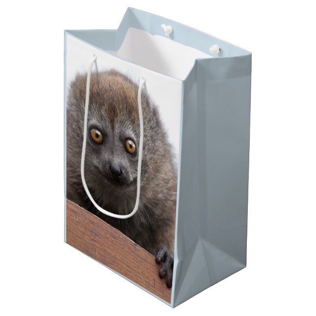 Baby Lemur Gift Bag (Front Angled)