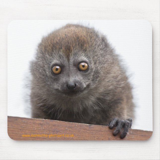 Baby Lemur Mousemat (Front)
